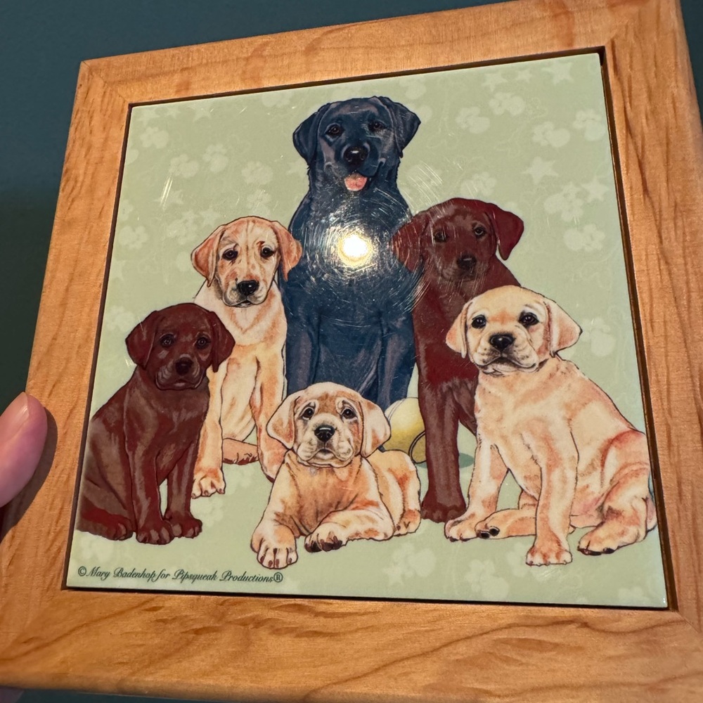 Mary Badenhop Labrador Lab Group Dog Framed Ceramic Wall Decor /Trivet 8" Square - Picture 3 of 6